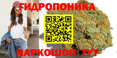 прущие крисы Заволжье