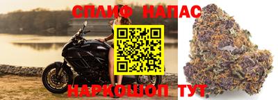 соль ск Заводоуковск